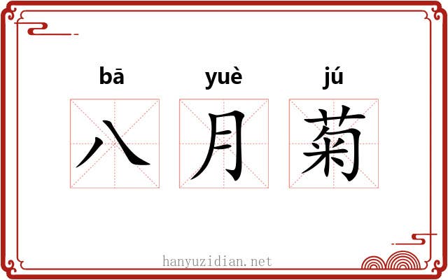 八月菊