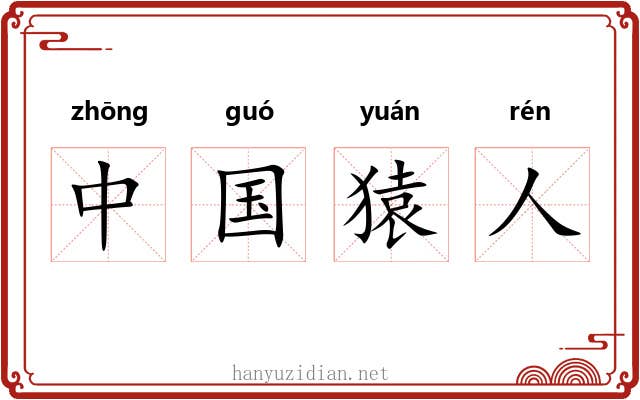 中国猿人 中国猿人
