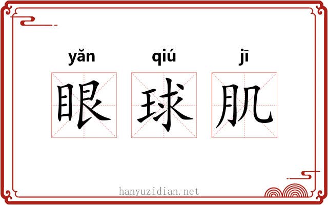 眼球肌