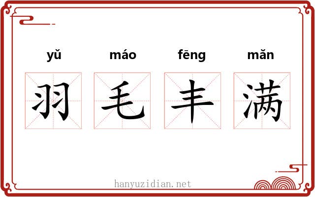羽毛丰满 羽毛丰满