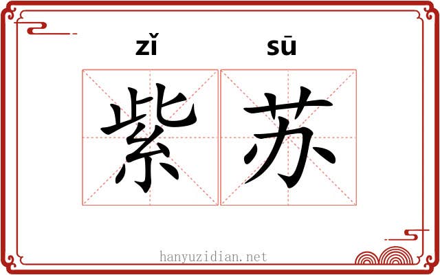 紫苏 紫苏