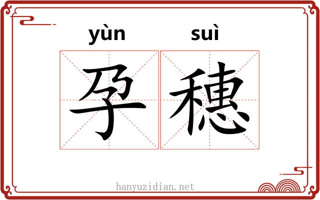孕穗