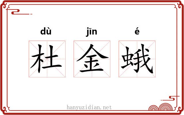 杜金蛾