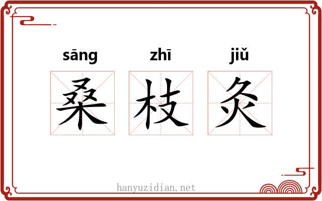 桑枝灸