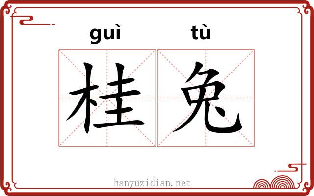 桂兔