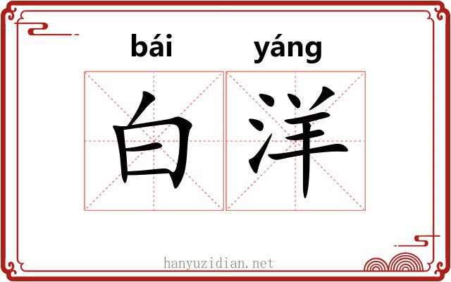 白洋 白洋