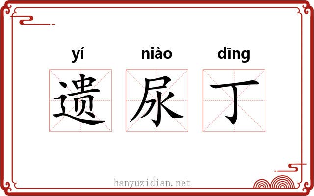 遗尿丁 遗尿丁