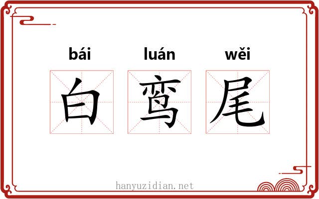 白鸾尾 白鸾尾