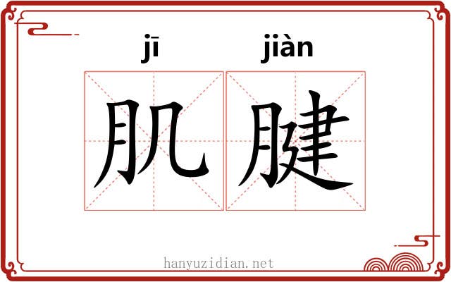 肌腱