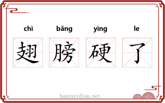 翅膀硬了 翅膀硬了