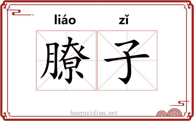 膫子 膫子