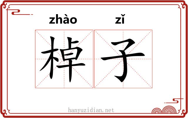 棹子