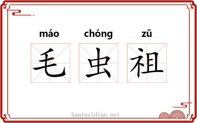 毛虫祖 毛虫祖