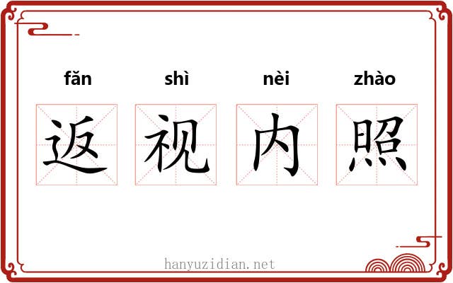返视内照