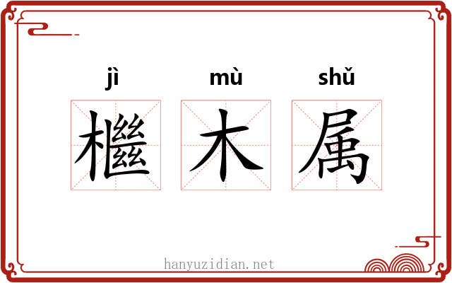 檵木属 檵木属