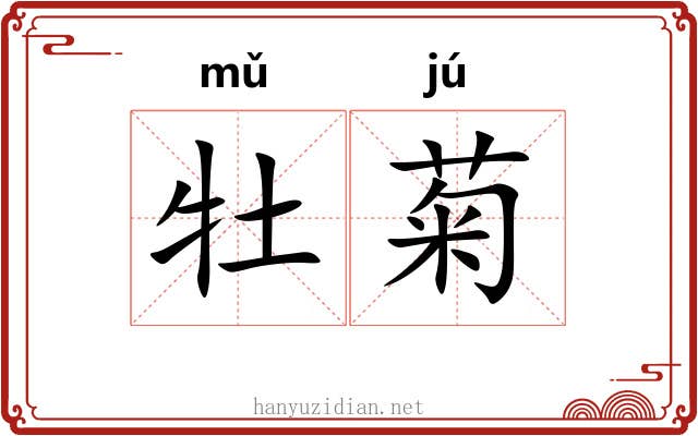 牡菊