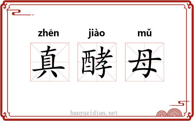 真酵母