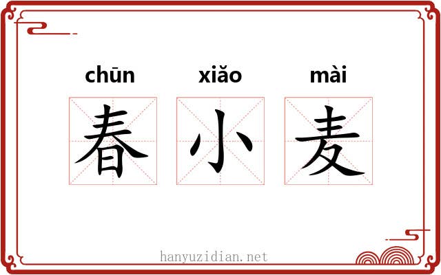 春小麦 春小麦