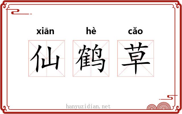 仙鹤草