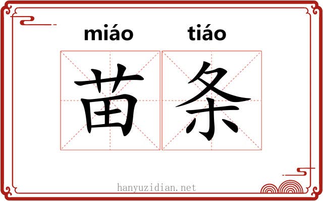 苗条