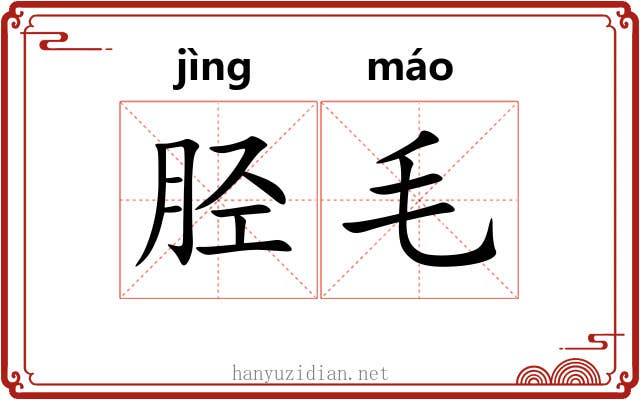 胫毛