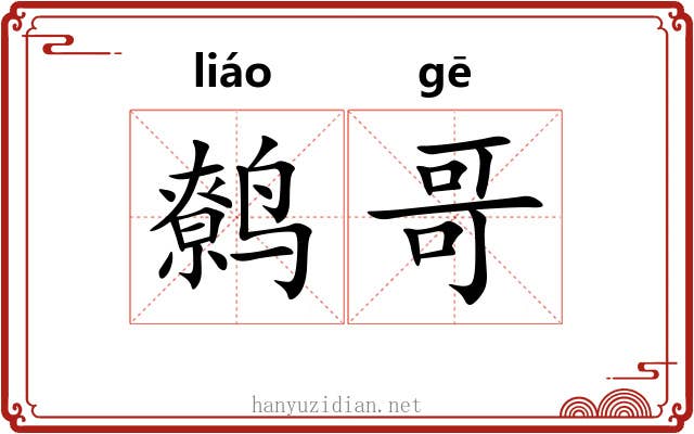 鹩哥