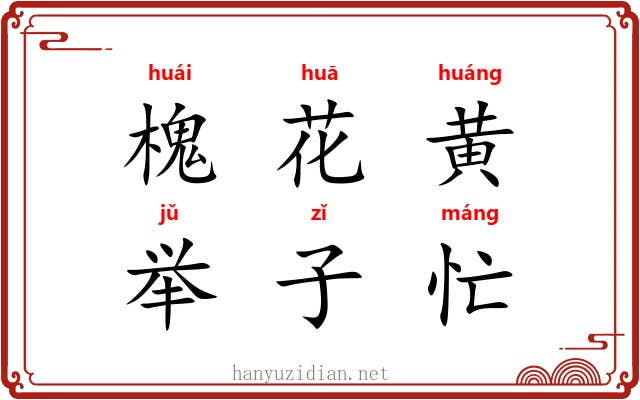 槐花黄,举子忙 槐花黄,举子忙