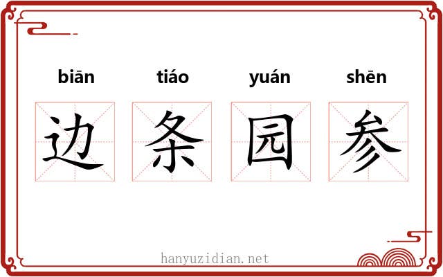 边条园参 边条园参