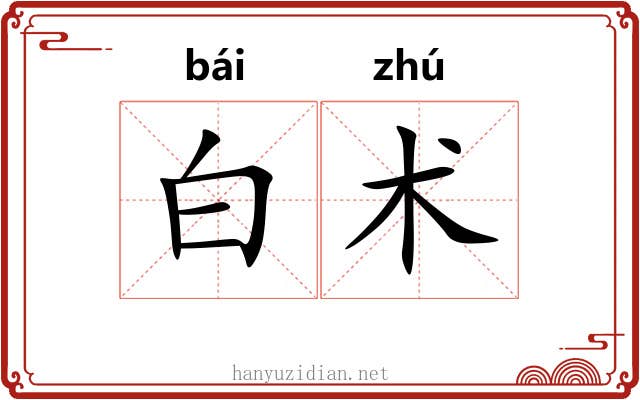 白术 白术