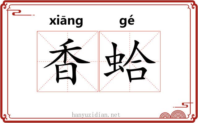 香蛤 香蛤
