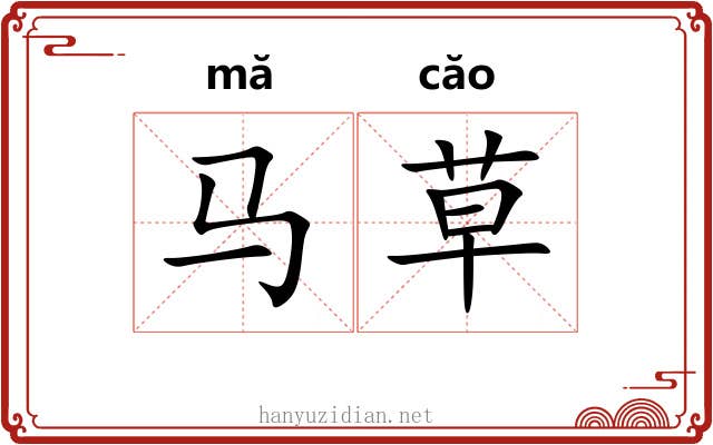 马草 马草