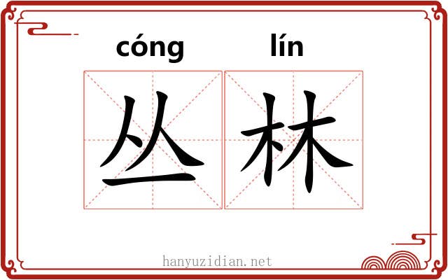 丛林