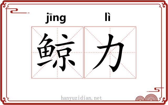 鲸力