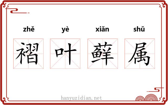褶叶藓属 褶叶藓属