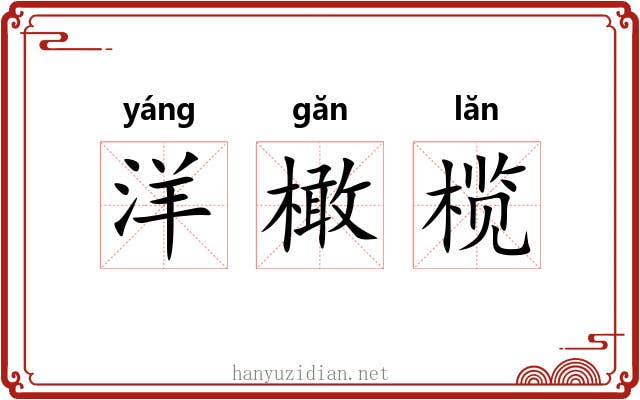洋橄榄