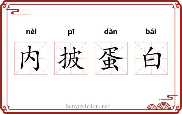 内披蛋白 内披蛋白