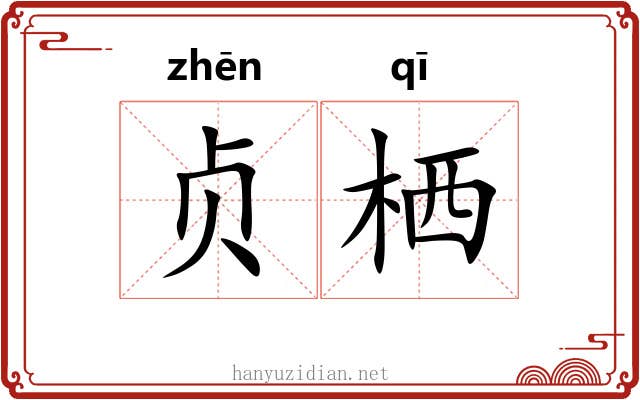 贞栖