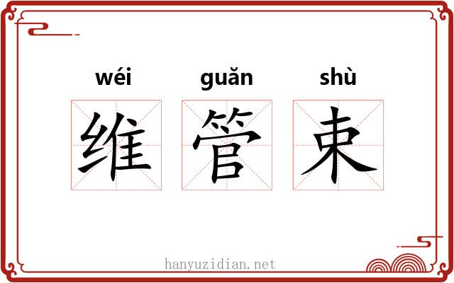 维管束 维管束