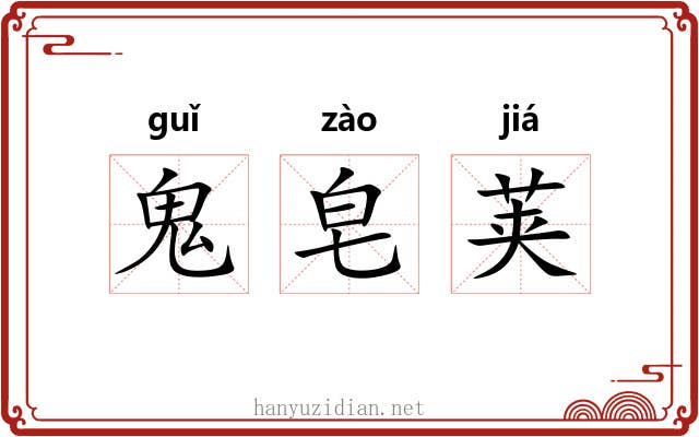 鬼皂荚 鬼皂荚