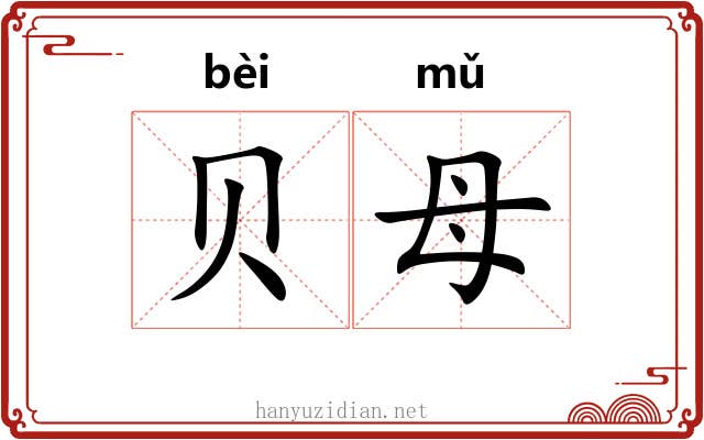 贝母