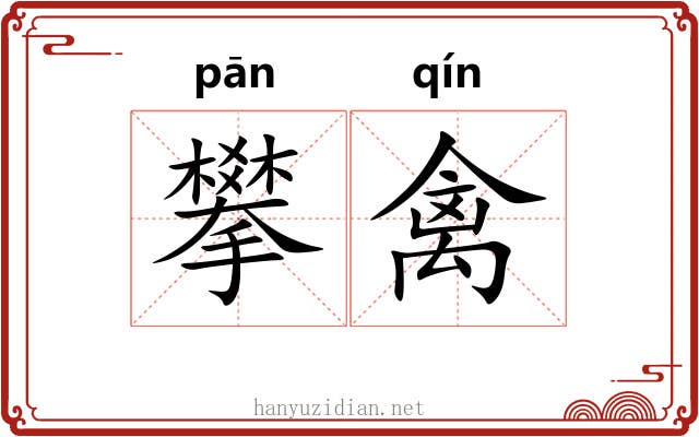 攀禽