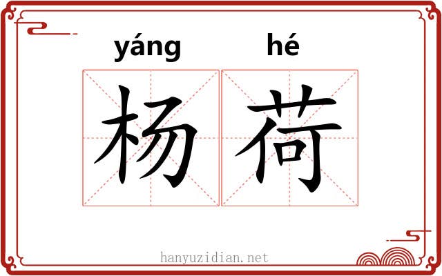 杨荷