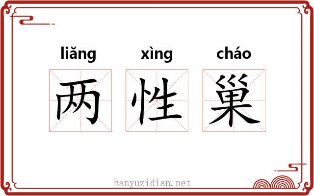 两性巢 两性巢