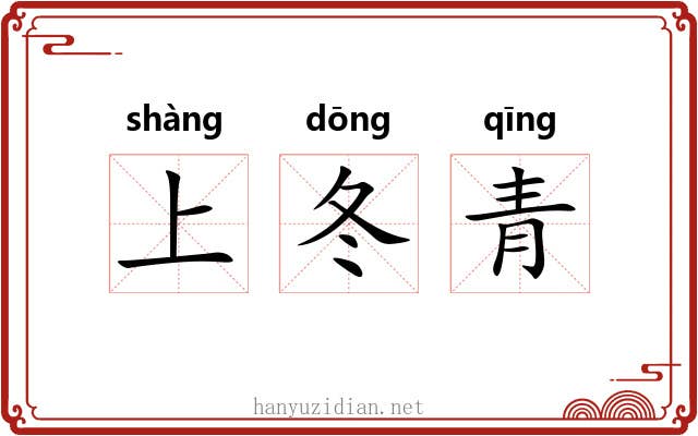 上冬青 上冬青