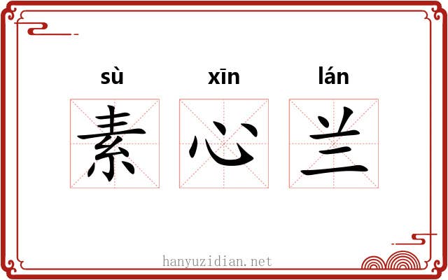 素心兰 素心兰