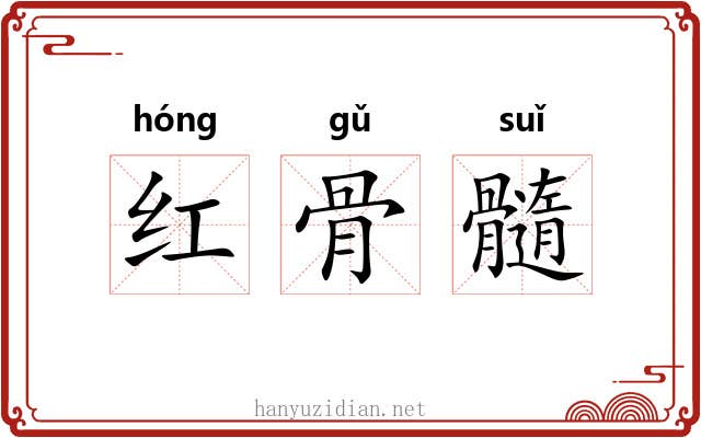 红骨髓 红骨髓