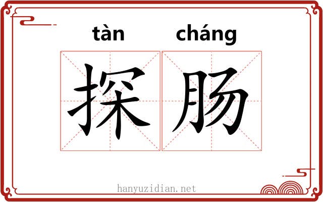 探肠