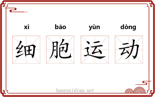 细胞运动 细胞运动