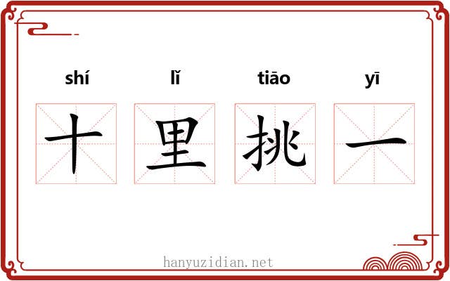 十里挑一