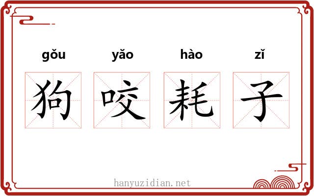 狗咬耗子 狗咬耗子